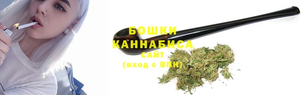 ПСИЛОЦИБИНОВЫЕ ГРИБЫ Алзамай