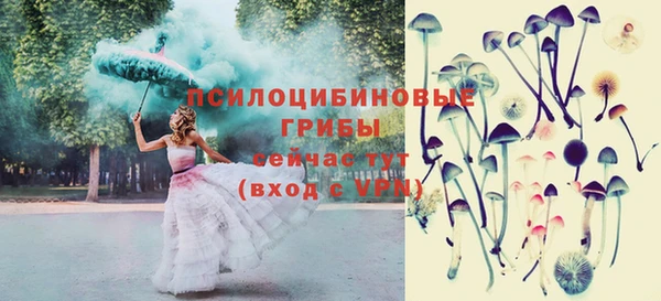 тгк Алексеевка