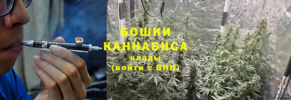 ПСИЛОЦИБИНОВЫЕ ГРИБЫ Алзамай