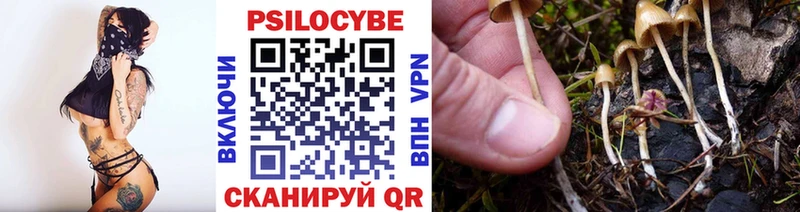 где купить наркоту  Алексеевка  Галлюциногенные грибы Cubensis 