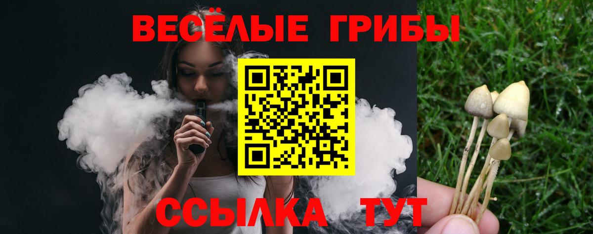 Псилоцибиновые грибы GOLDEN TEACHER Алексеевка